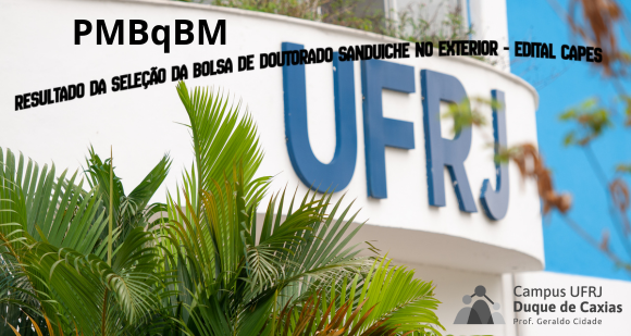 Resultado Bolsa Sanduiche - PMBqBM