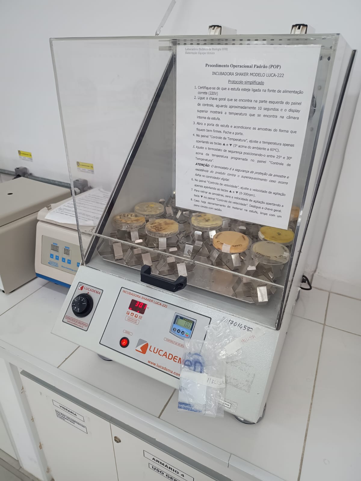 WhatsApp Image 2025 09 08 at 12.03.00